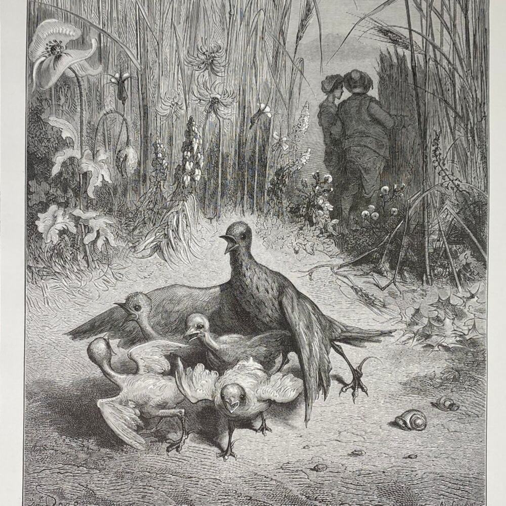 Dore, Fables, Lark and Babies, Woodman and Mercury, Bookplate, ~ 240706-WH 290